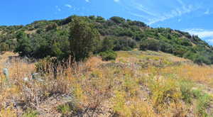 Mountain view featuring a heavily wooded area