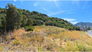 View of local wilderness featuring mountains