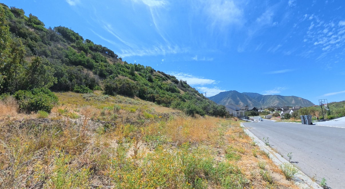 View of mountain background