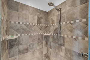 Room details featuring a tile shower