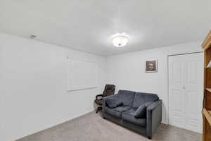 Living area with light colored carpet