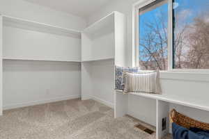 Walk in closet featuring light colored carpet