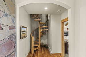 Stairway with wood-type flooring