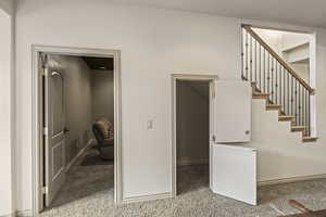 Staircase featuring carpet