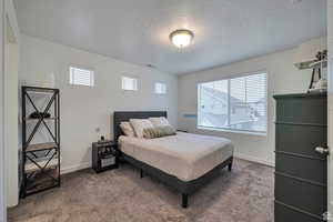 Carpeted bedroom with a textured ceiling