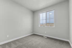 Unfurnished room featuring carpet