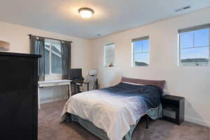 Bedroom featuring carpet floors, multiple windows, and a textured ceiling