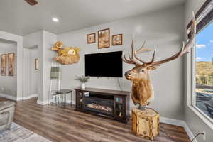 Living room with dark hardwood / wood-style floors