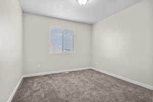 Unfurnished room with carpet floors and a textured ceiling