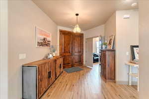 Foyer entrance with light hardwood / wood-style floors