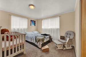 Carpeted bedroom featuring ornamental molding