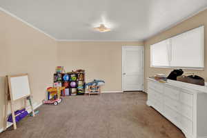 Playroom featuring ornamental molding and carpet