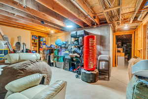 Basement storage room