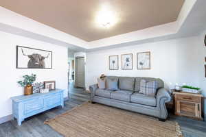 Living room featuring dark hardwood / wood-style flooring and a tray ceiling