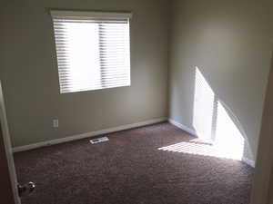 Carpeted spare room with a wealth of natural light