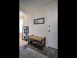 Entrance foyer with dark hardwood / wood-style floors