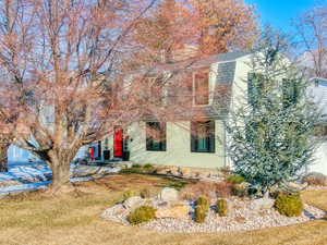 View of property hidden behind natural elements with a front lawn