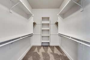 Walk in closet featuring dark colored carpet