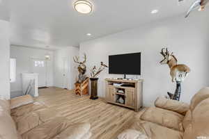 Living room with light wood-type flooring