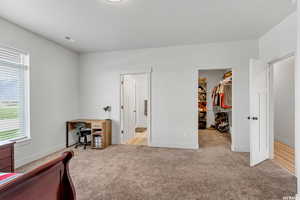 Bedroom with a spacious closet, light carpet, and a closet