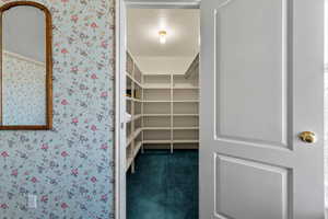 Spacious closet with carpet