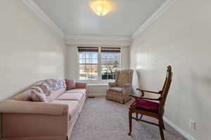 Living area featuring crown molding and light carpet