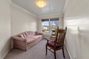 Living room featuring crown molding and carpet flooring