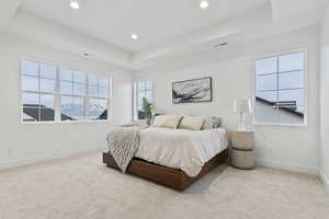 Primary bedroom with mountain views from all windows, featuring a raised ceiling and light carpet