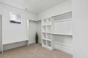 Spacious walk-in closet off primary bathroom with light carpet