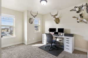 Office featuring a wealth of natural light and light colored carpet