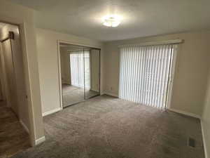 Interior space featuring carpet flooring and a closet