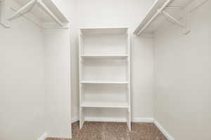 Walk in closet with carpet