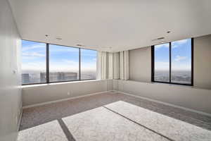 Unfurnished room with light carpet