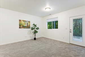 View of carpeted spare room