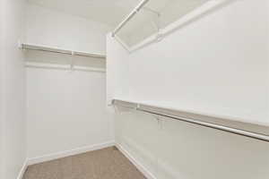 Walk in closet with carpet flooring