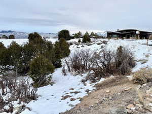 View of yard covered in snow