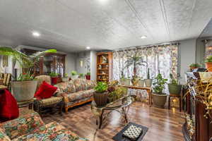 Living room featuring wood-type flooring and a textured ceiling