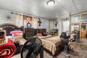 Bedroom featuring carpet floors and a closet