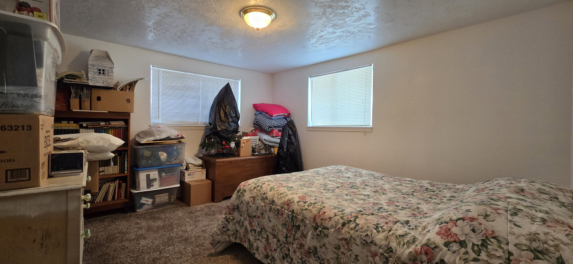Carpeted bedroom with multiple windows and a textured ceiling