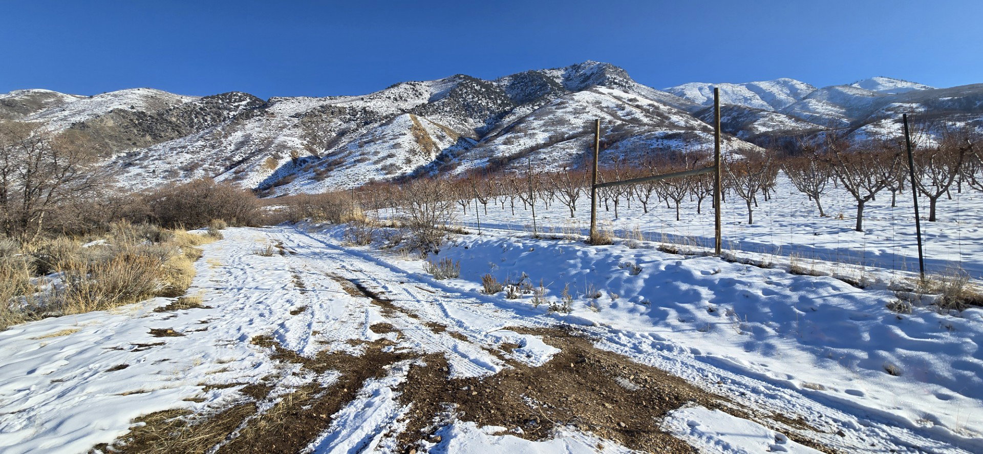 Property view of mountains