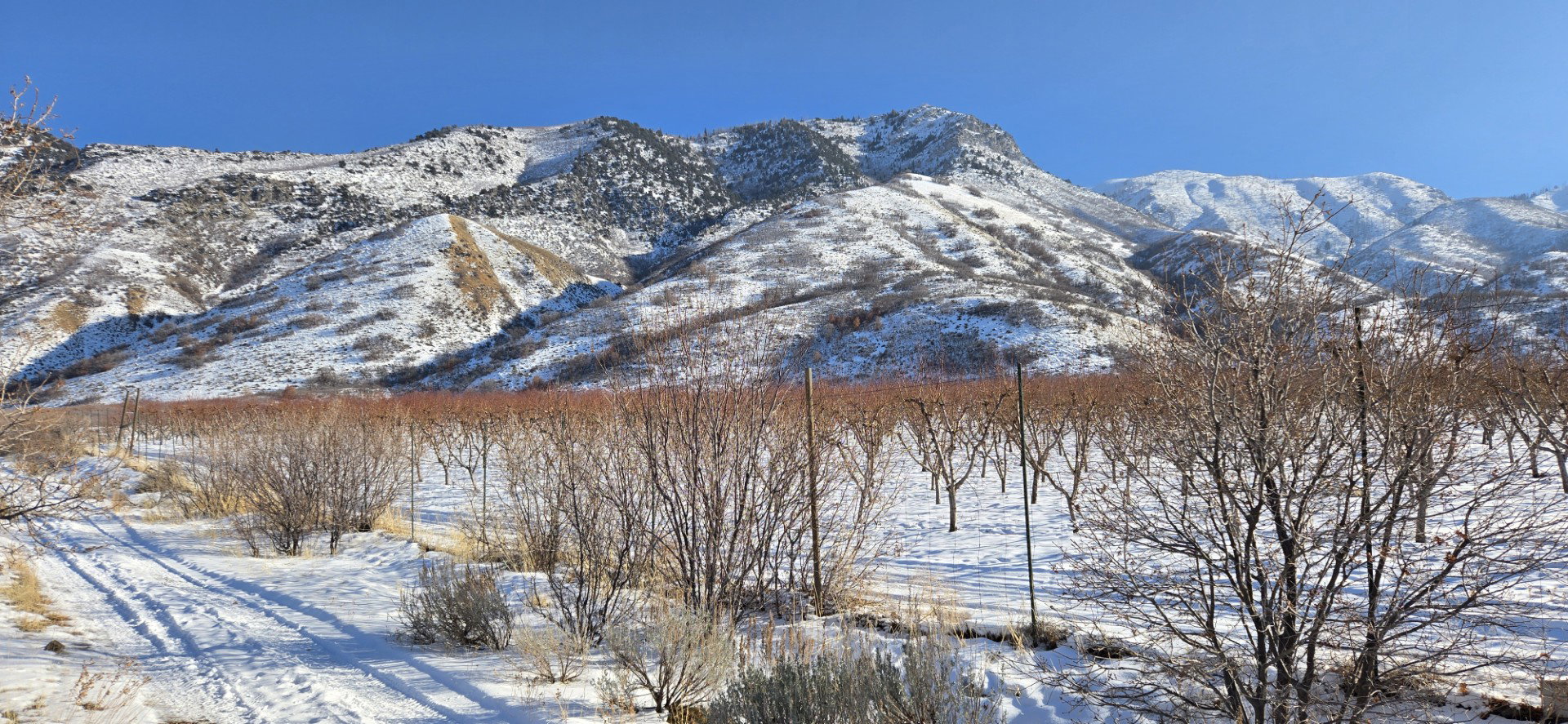 Property view of mountains
