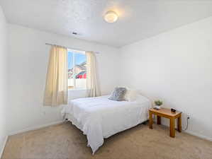 Carpeted bedroom featuring a textured ceiling