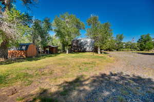 View of yard with a shed