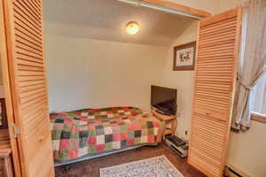 Bedroom featuring vaulted ceiling, a textured ceiling, a baseboard radiator, carpet floors, and a closet