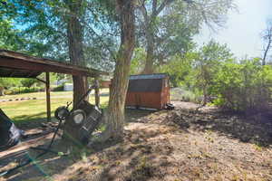 View of yard featuring a storage unit