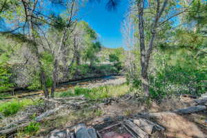 View of local wilderness with a water view