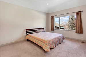 Carpeted bedroom with vaulted ceiling