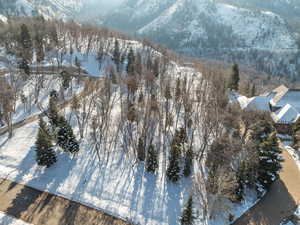 Snowy aerial view with a mountain view