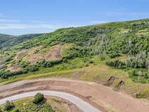 Birds eye view of property featuring a mountain view