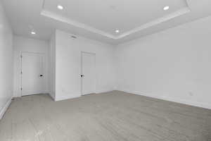 Unfurnished room featuring a raised ceiling and light carpet